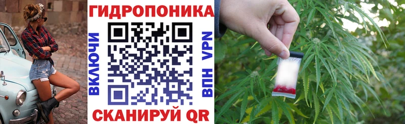 Бошки Шишки планчик Надым